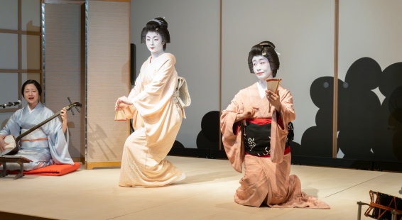 Traditional Japanese Culture Experience