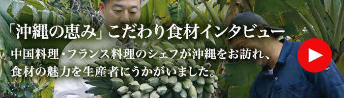 Youtubeバナー
