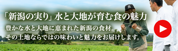 Youtubeバナー