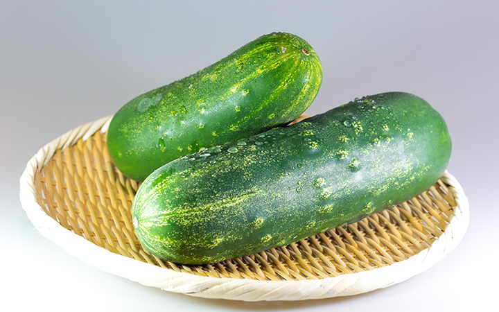 能登に息づく加賀太きゅうり