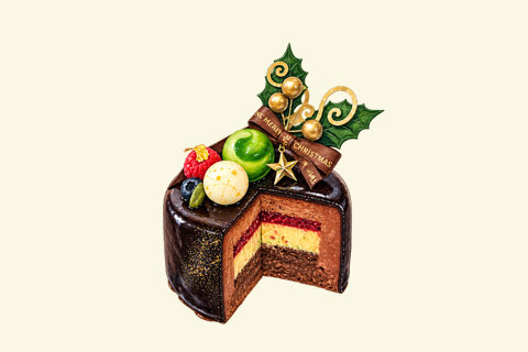 断面イメージ