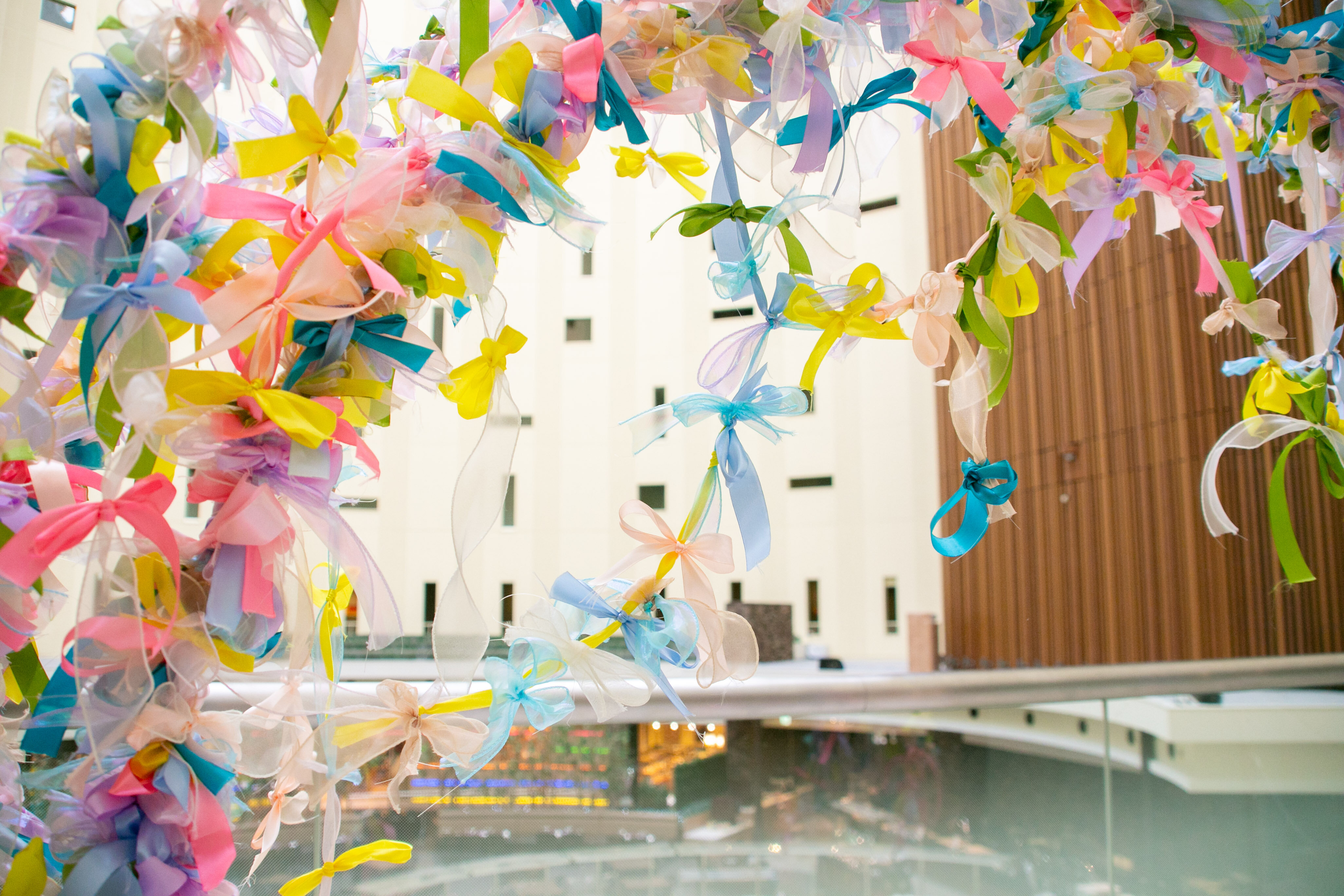 これまでの軌跡