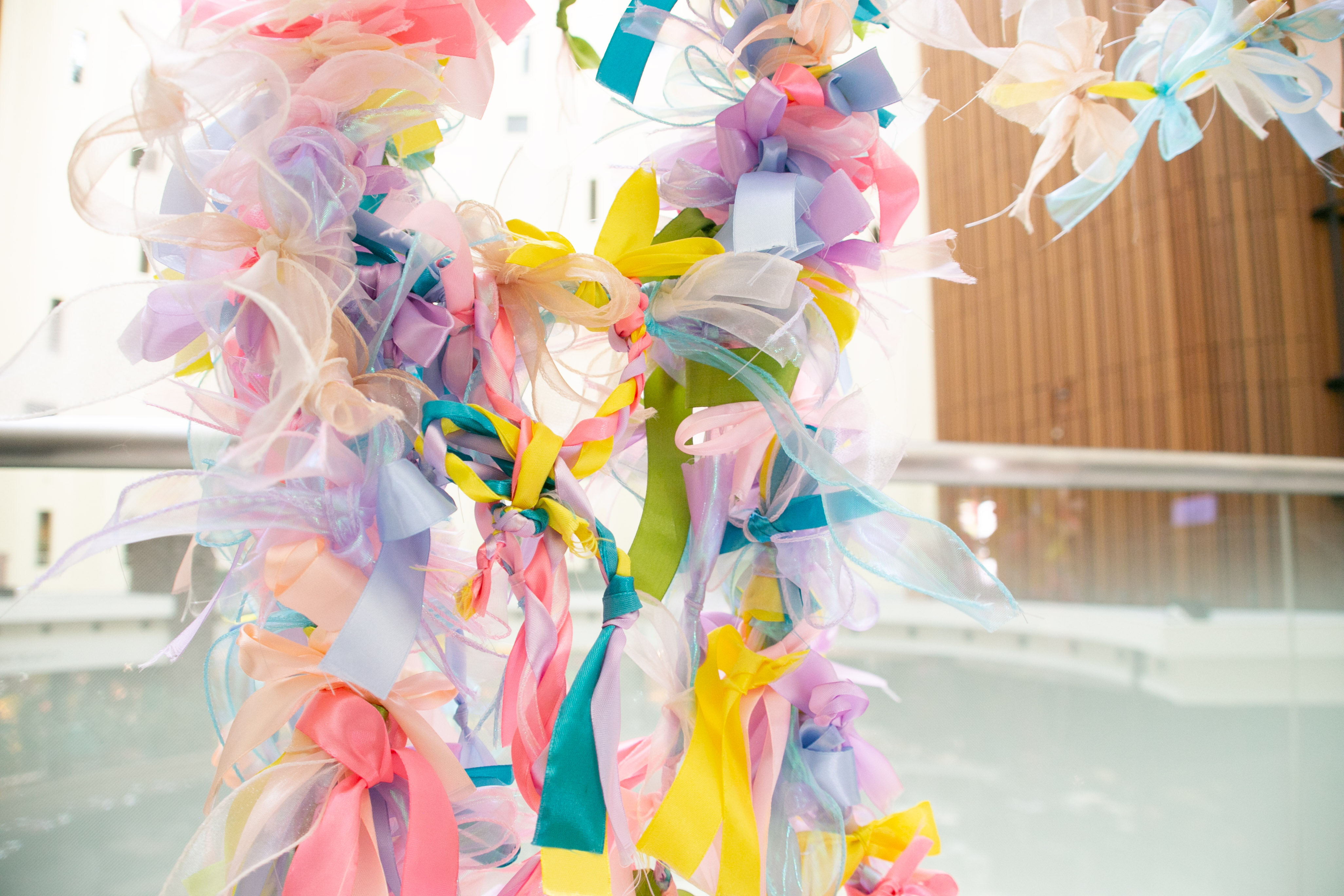 これまでの軌跡