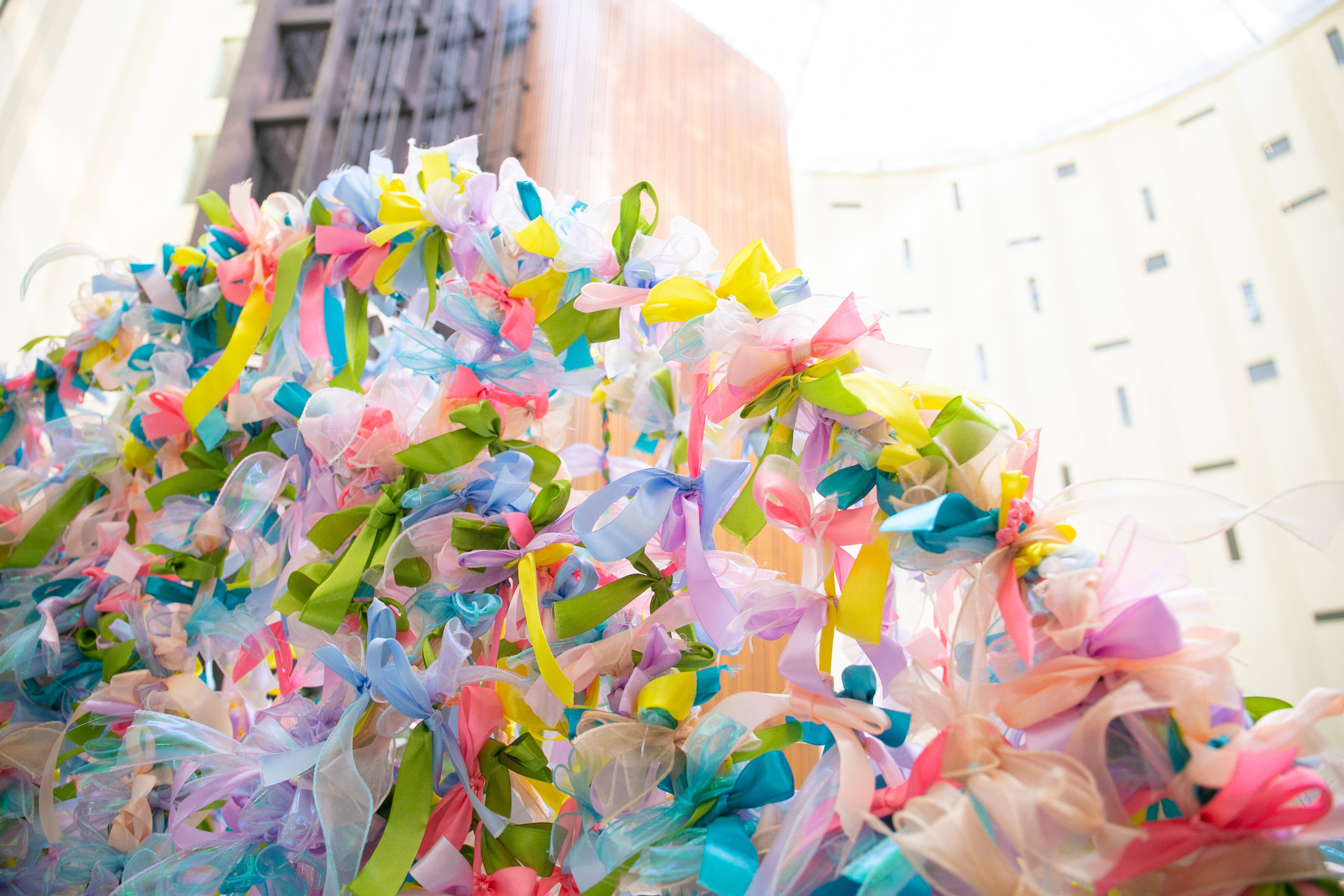 これまでの軌跡