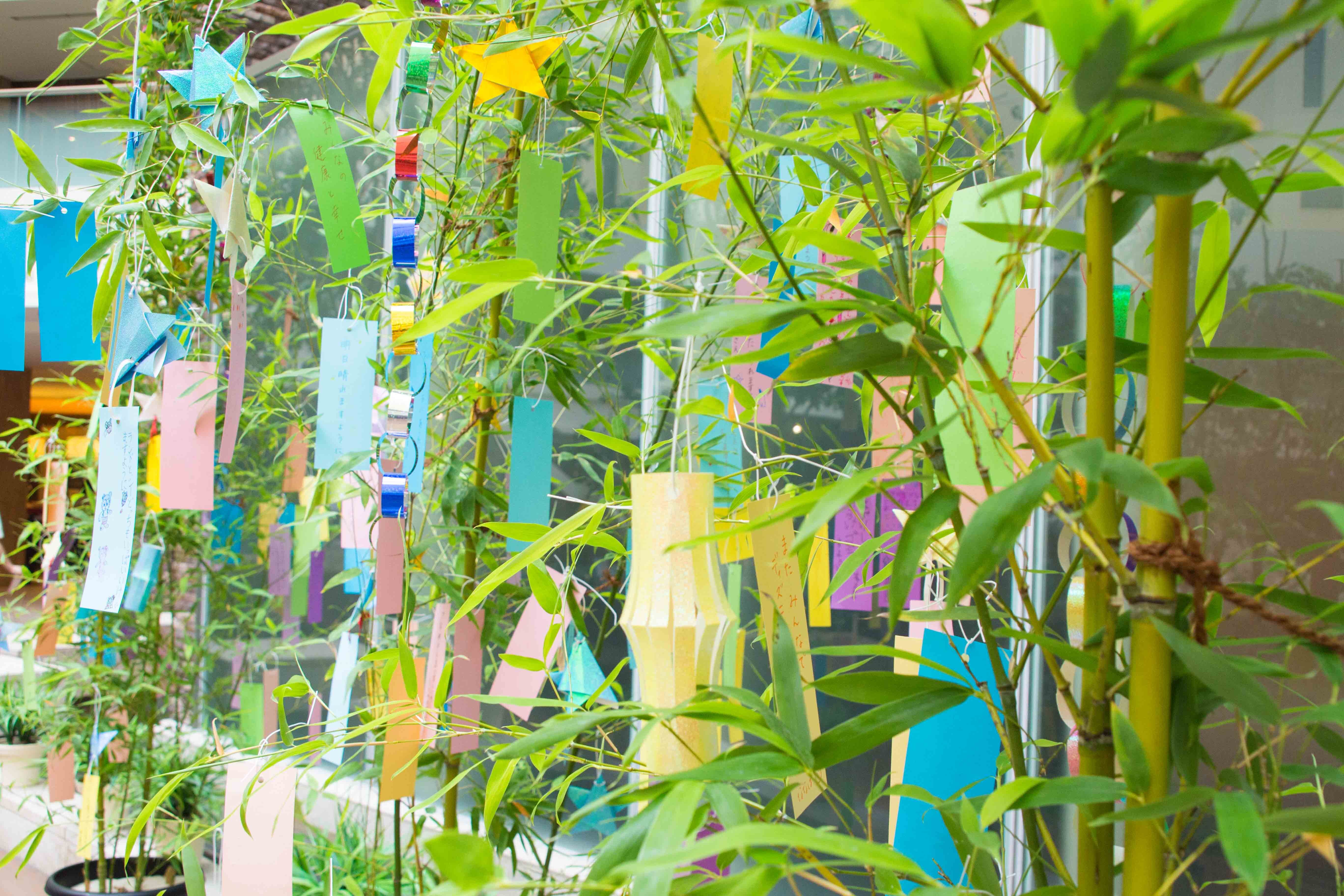 まいはま七夕Week