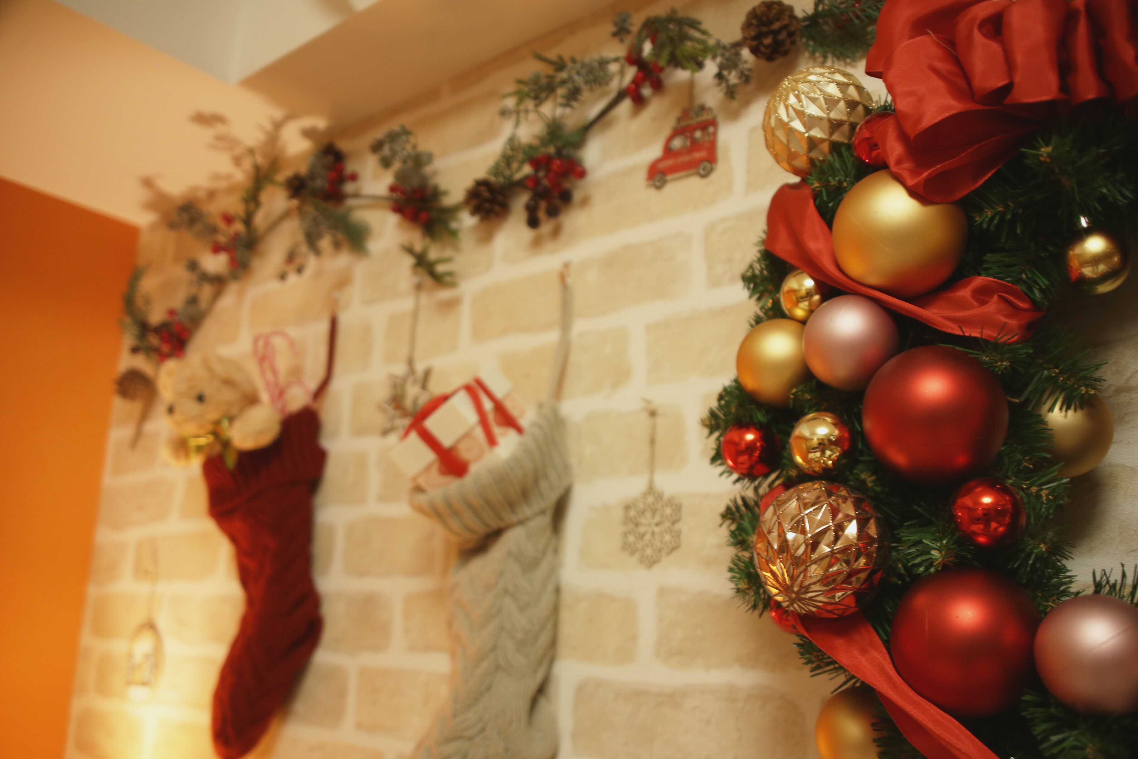 花と緑の癒し空間「グローイングフラワールーム」