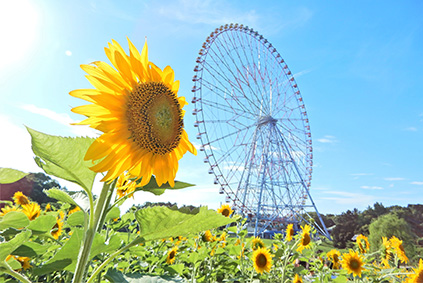 葛西臨海公園