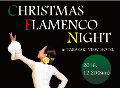 高崎ビューホテル　12月25日（日）一夜限り！クリスマスフラメンコナイト